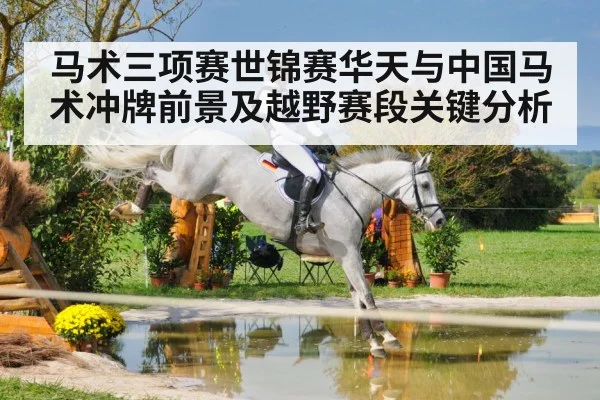 马术三项赛世锦赛华天与中国马术冲牌前景及越野赛段关键分析 - u8.com
